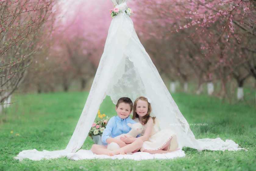 knoxville familyl portraits