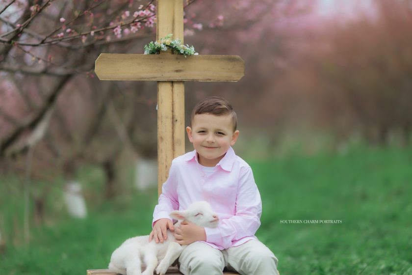 knoxville tn portraits