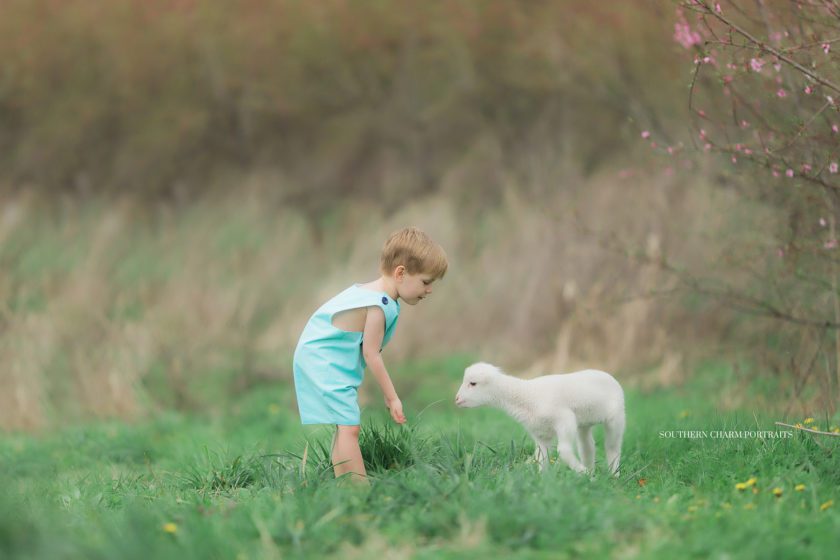 portrait artist knoxville tn