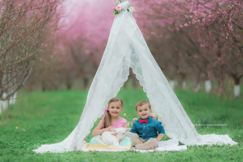 photography studio knoxville