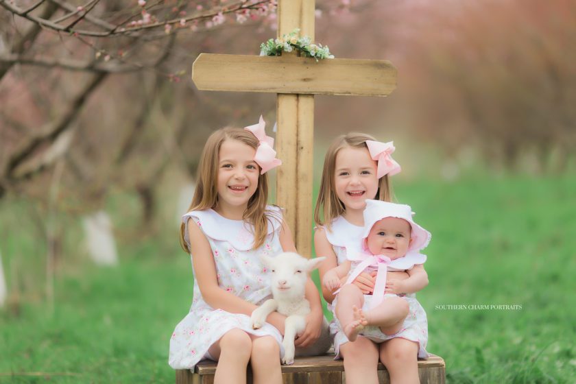 fine family portraits knoxvlile