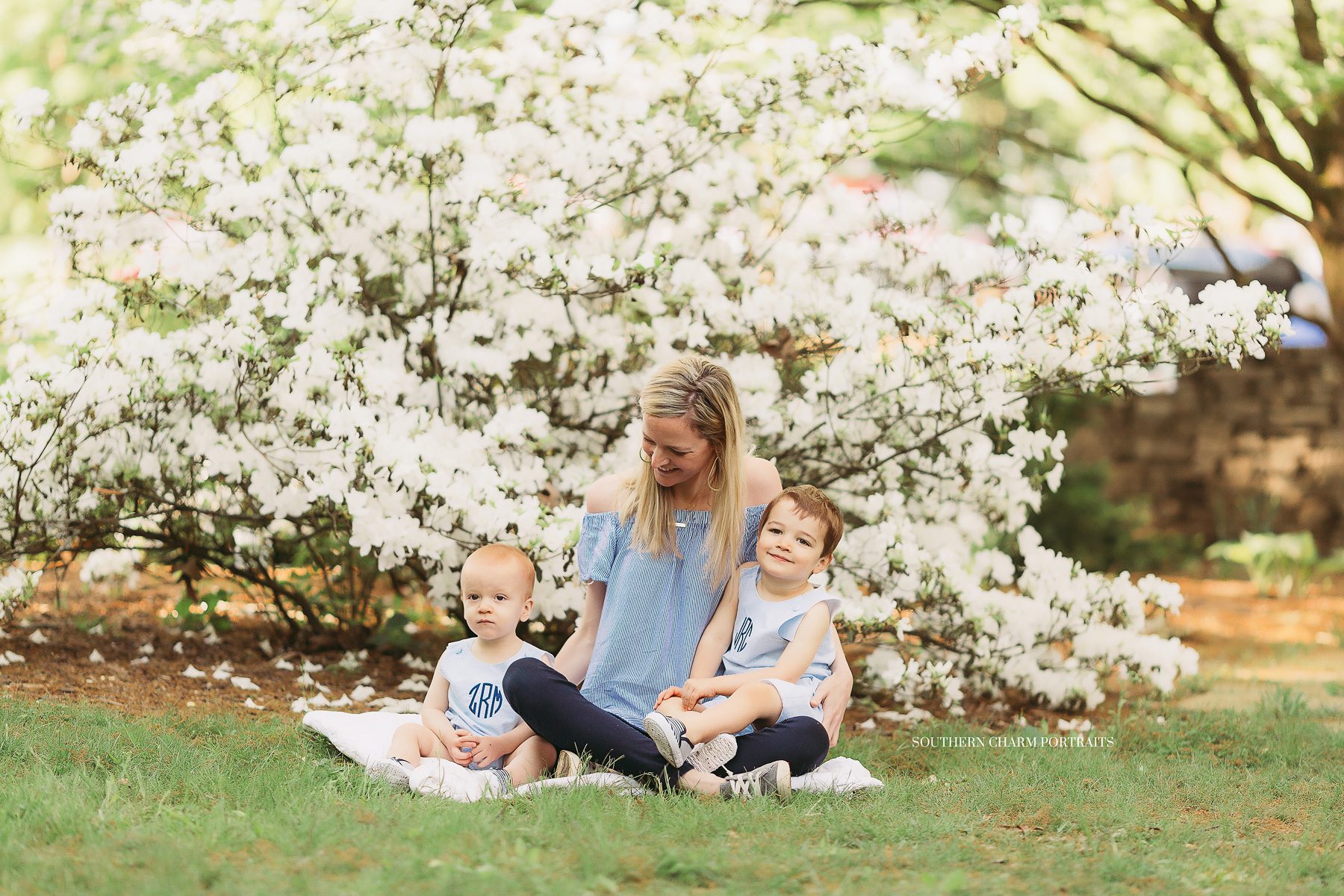 fine family portraiture