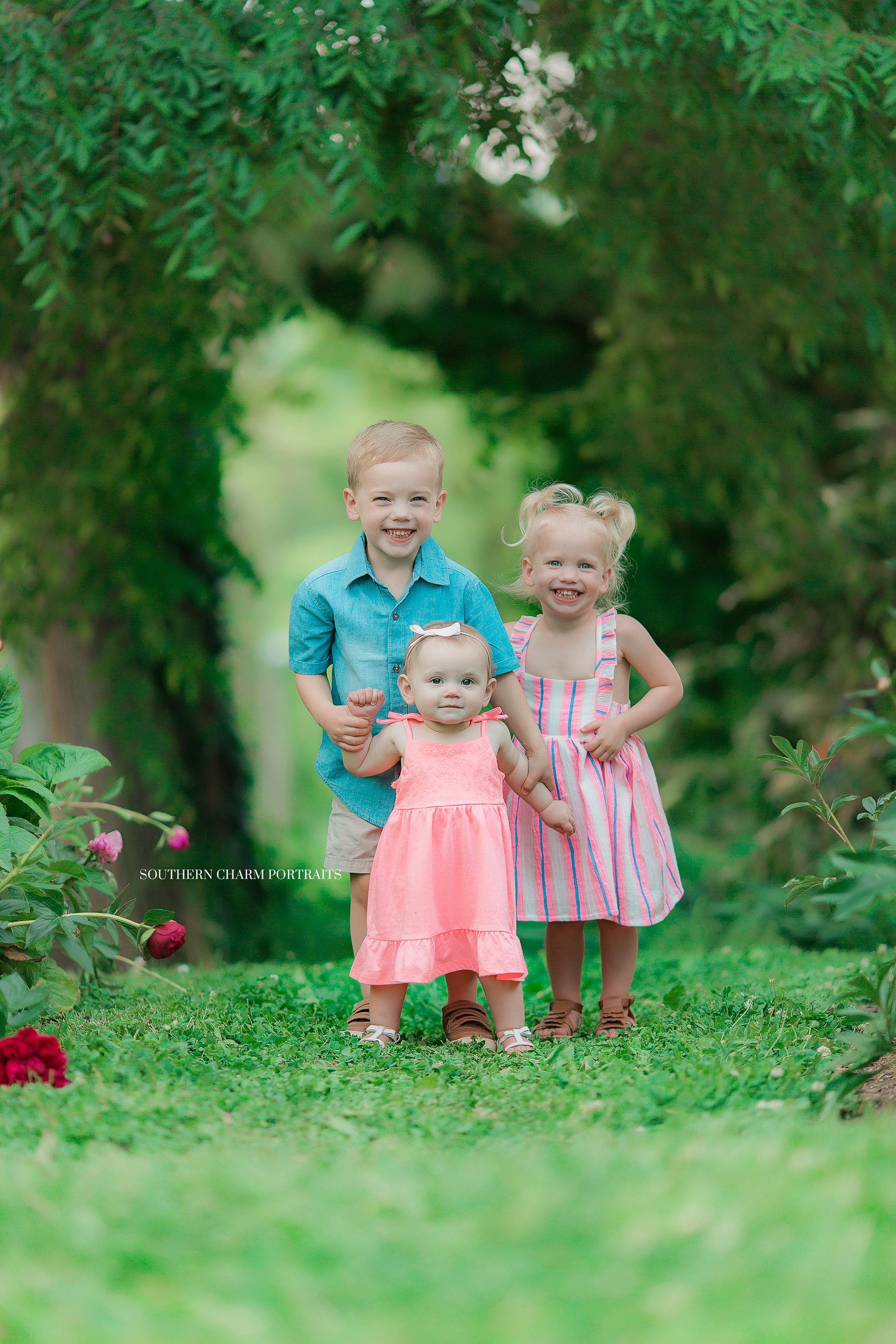 knoxville children's photographer