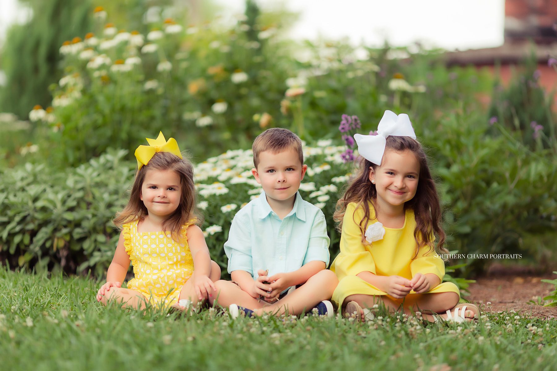 knoxville tn family photography