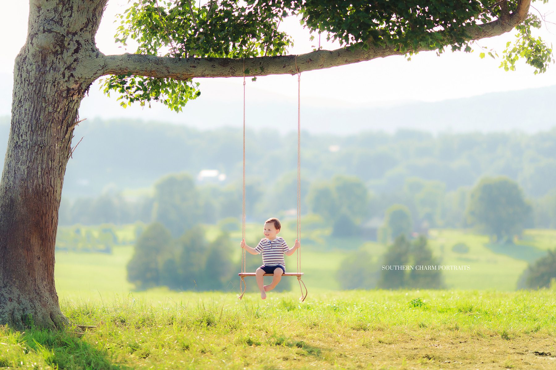 knoxville tn photographer