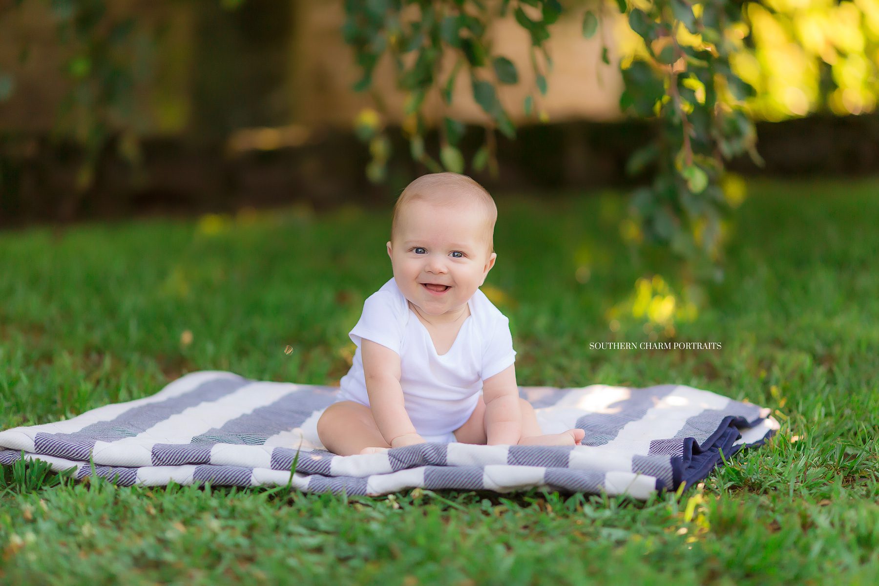 powell tn family photographer
