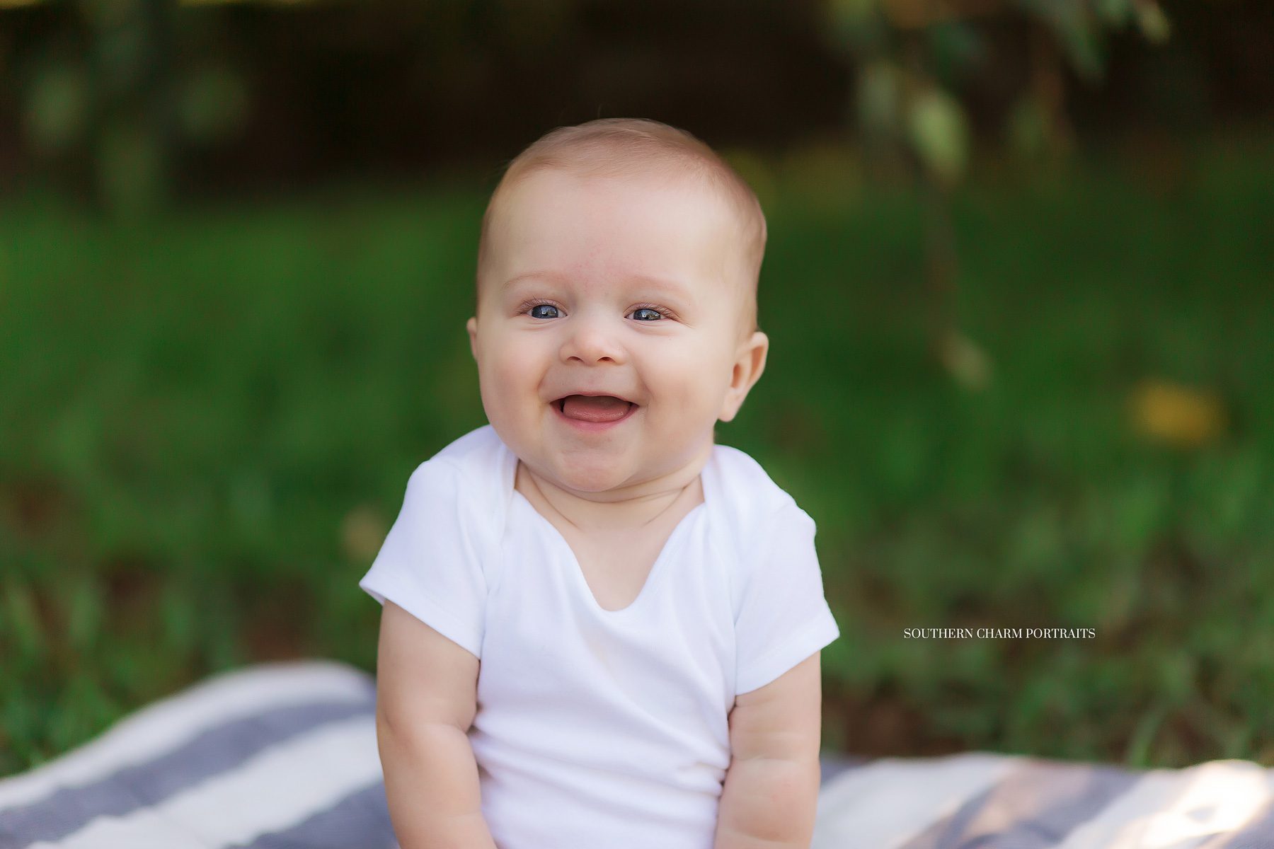 best baby portraits knoxville