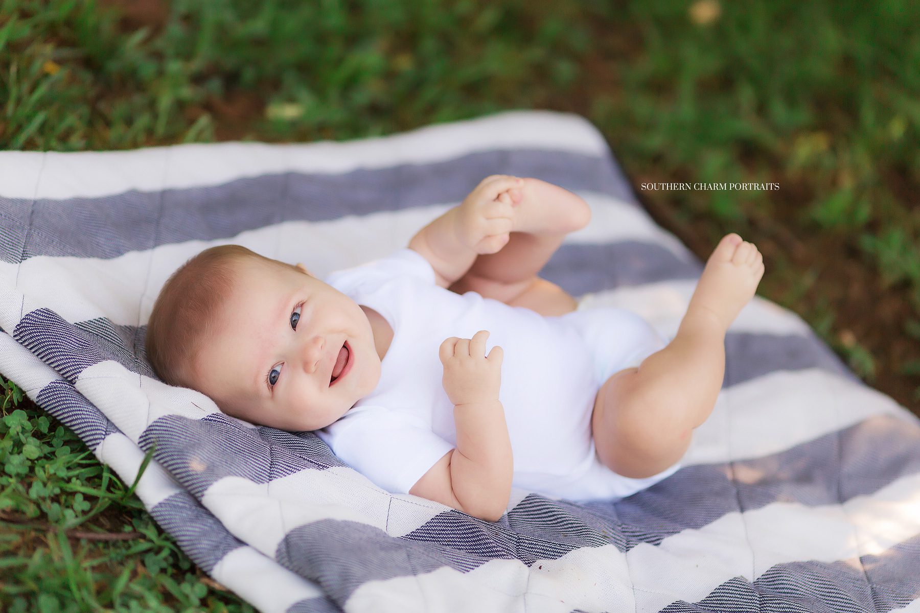 powell tn baby photographer