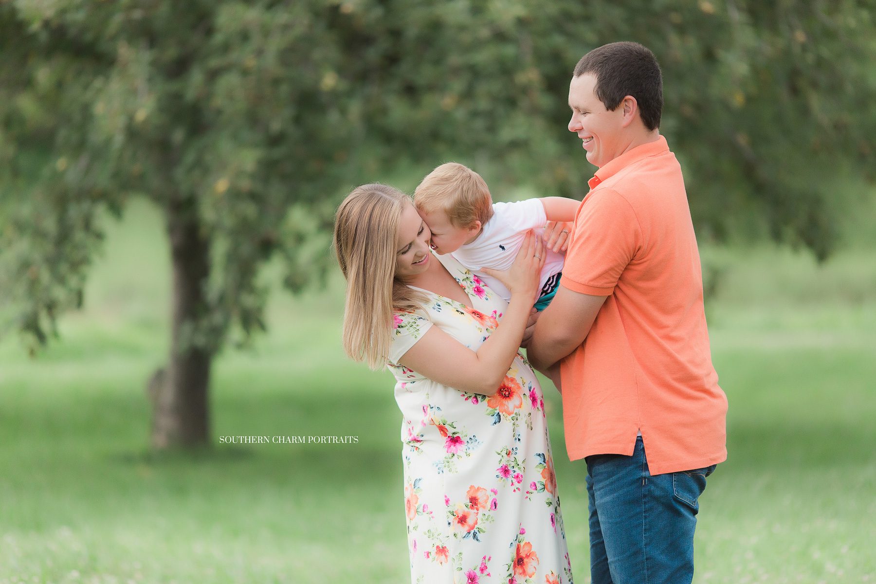 knoxville maternity photographer