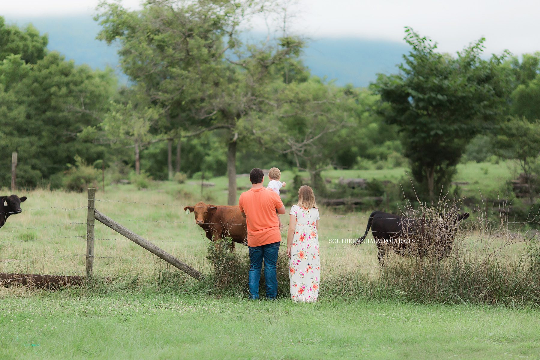 knoxville maternity portraits