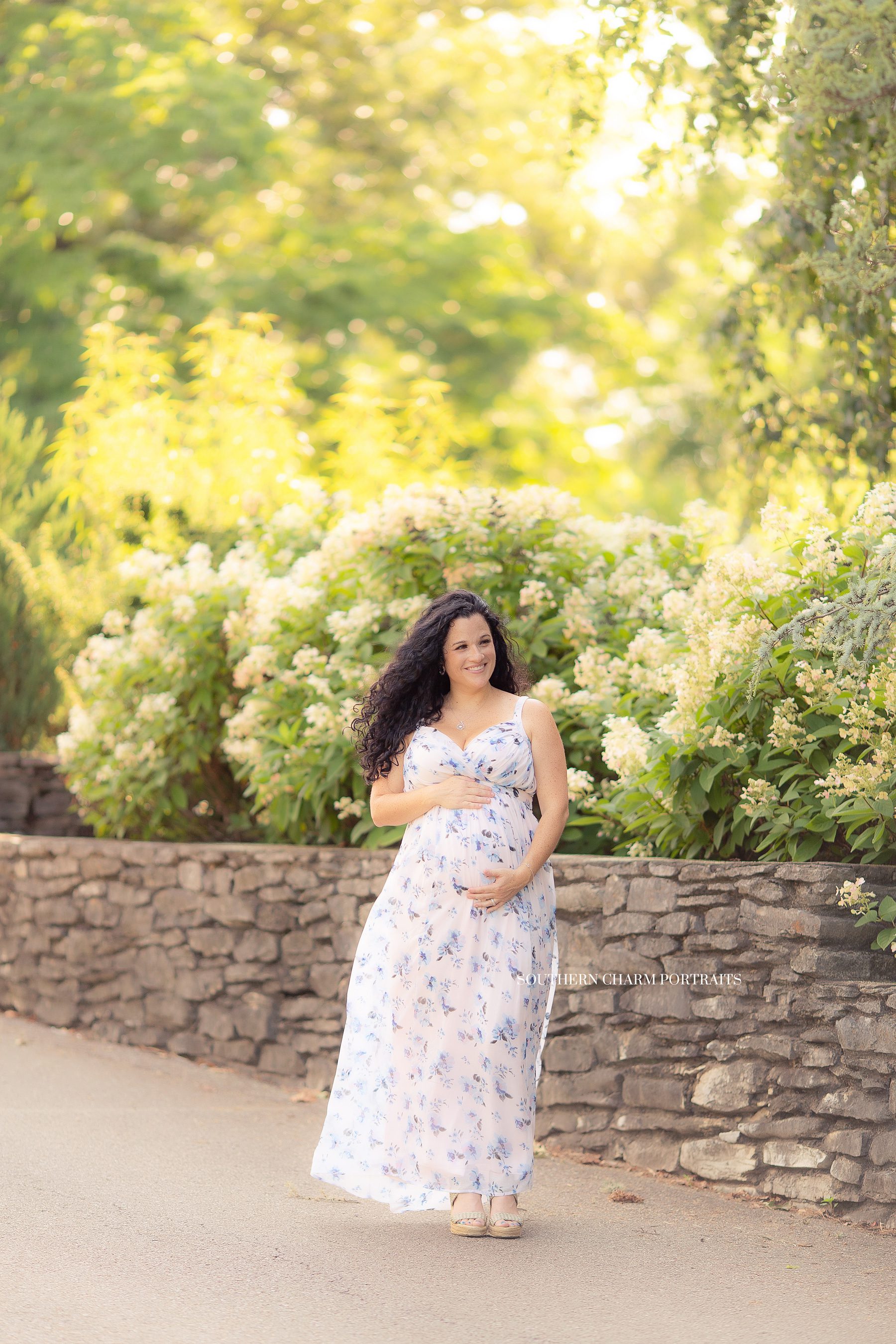 baby's 1st year portraits knoxville