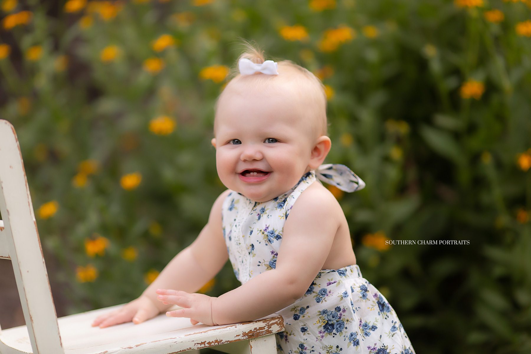 knoxville toddler photographer