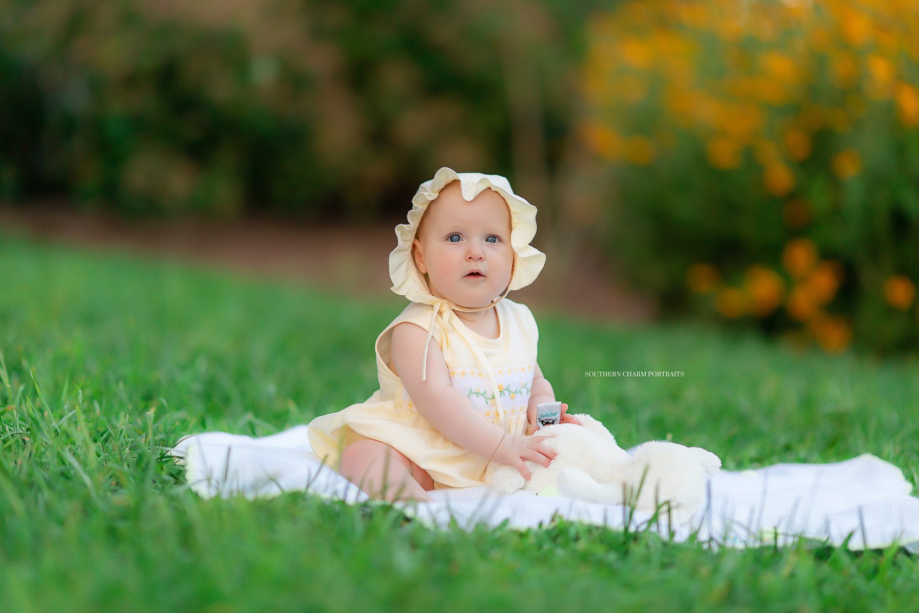 best baby portraits knoxville tn