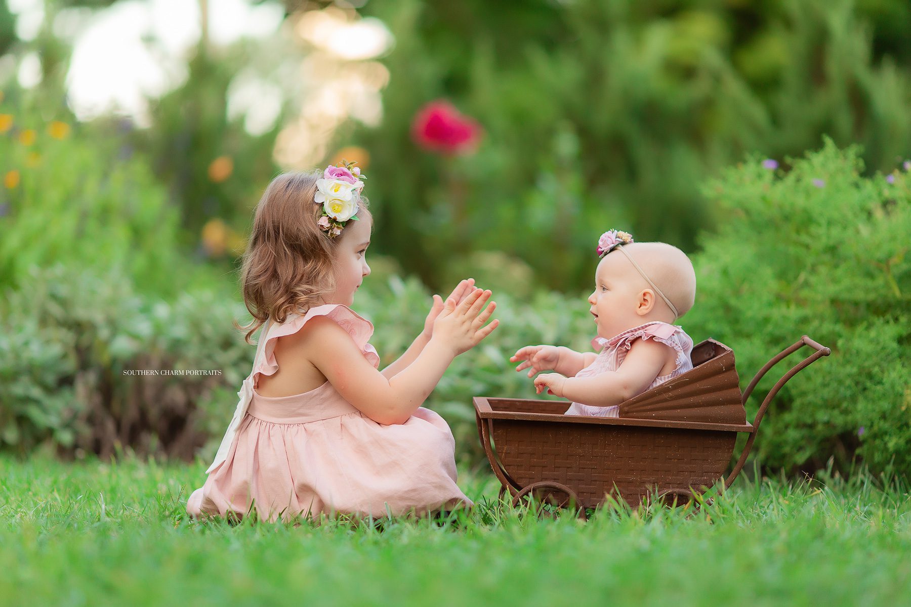 fine family portraits knoxville