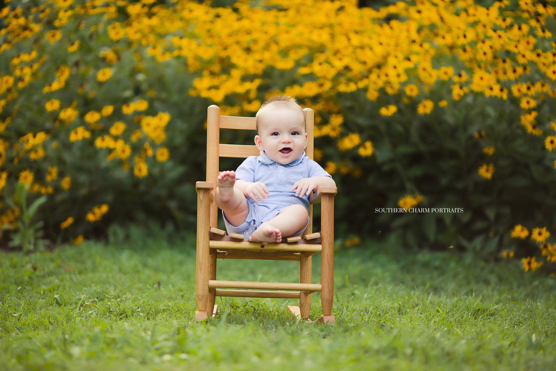baby photography knoxville tn