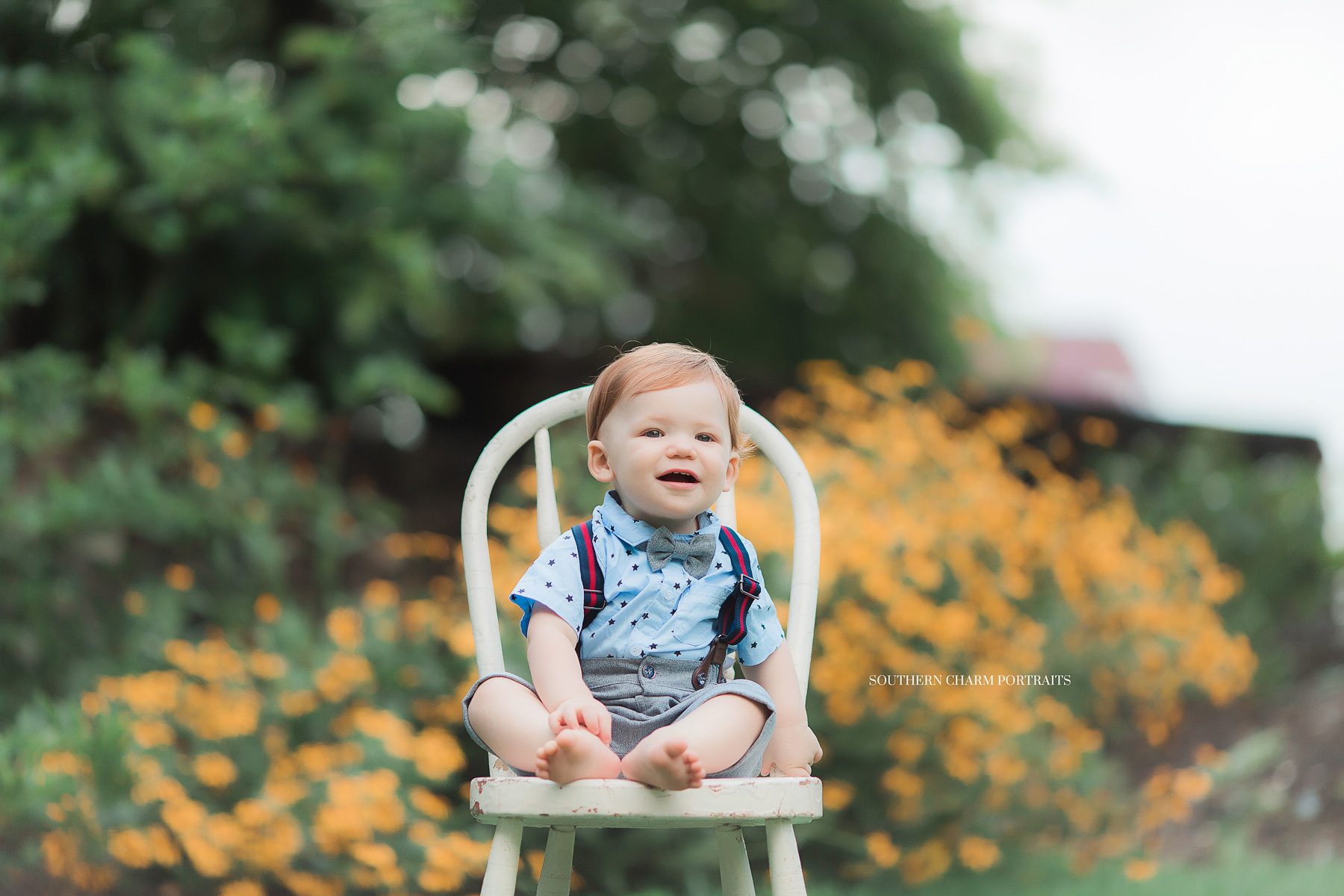 knoxville tn baby portraits