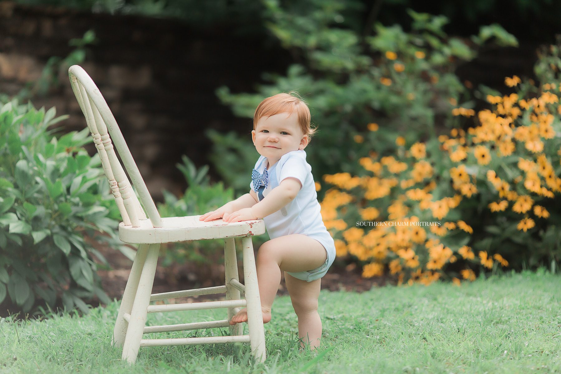 best family portraits knoxville tn