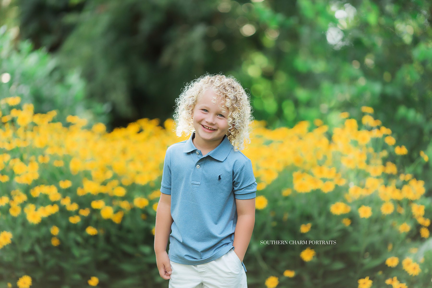 knoxville's top photographer