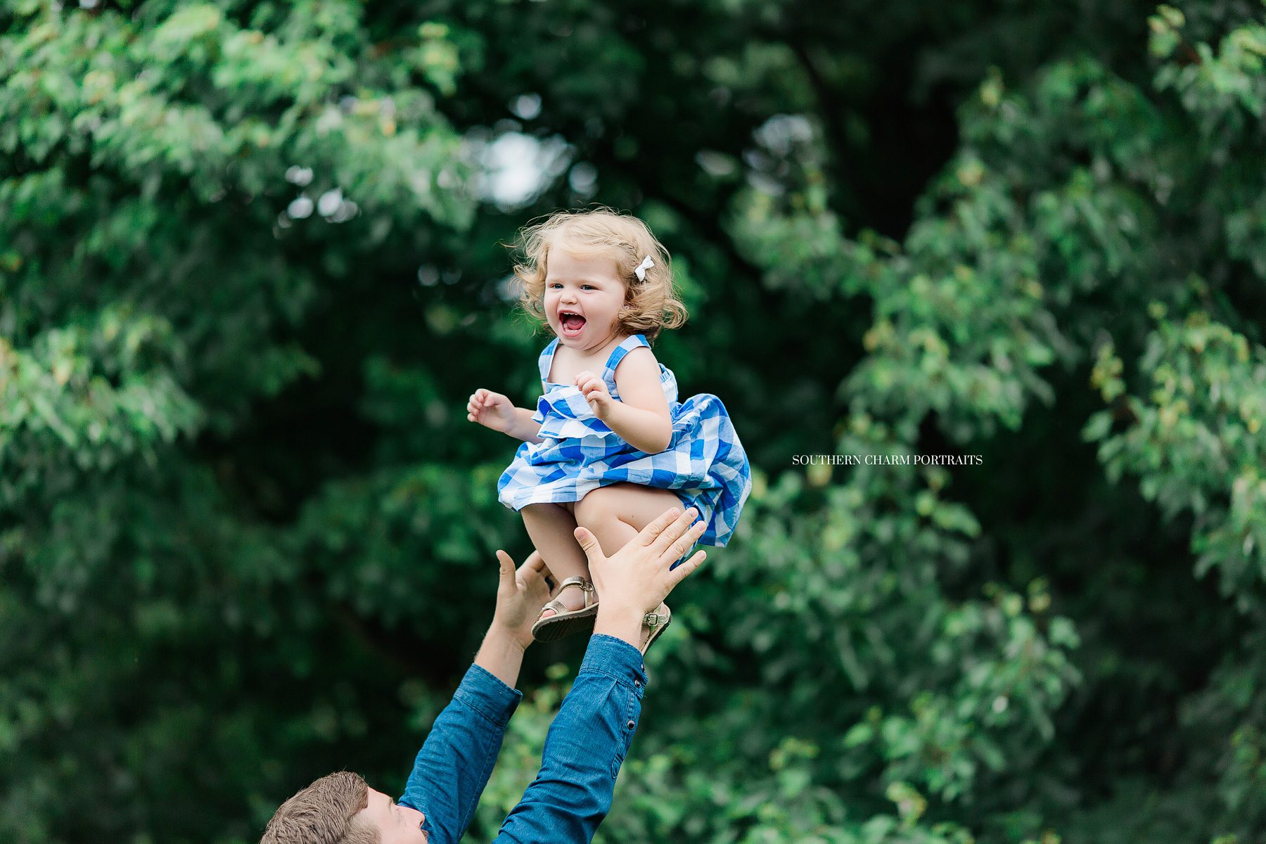 knoxville tn best family photographer