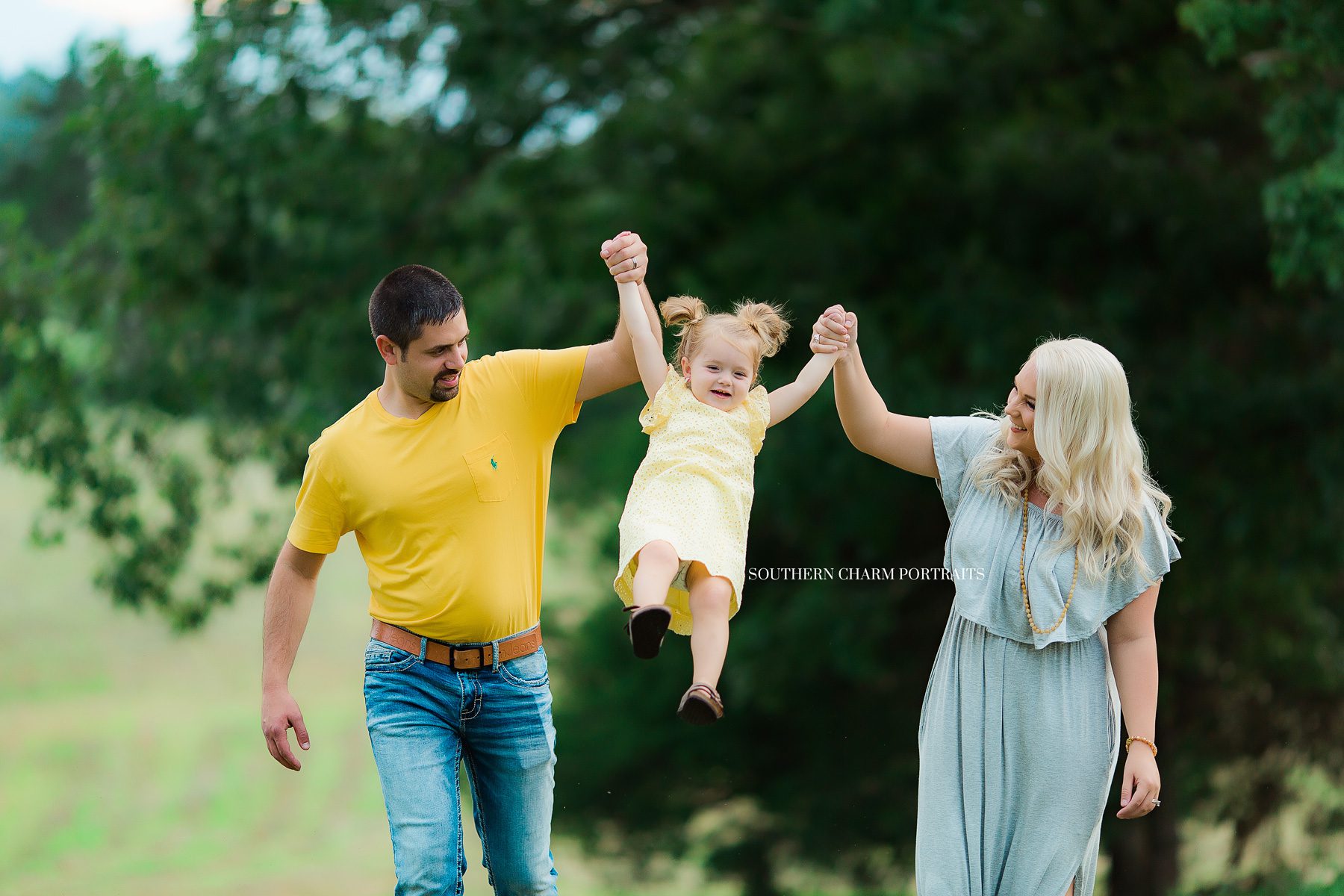 lafollette tn portraits