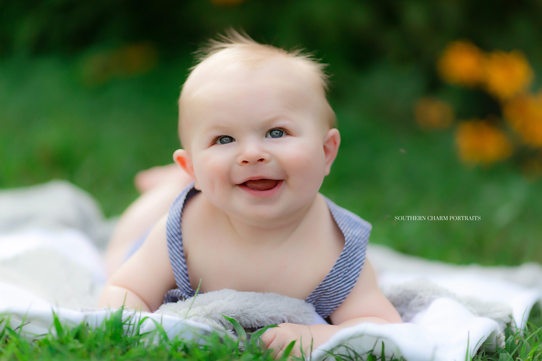 knoxville baby photographer
