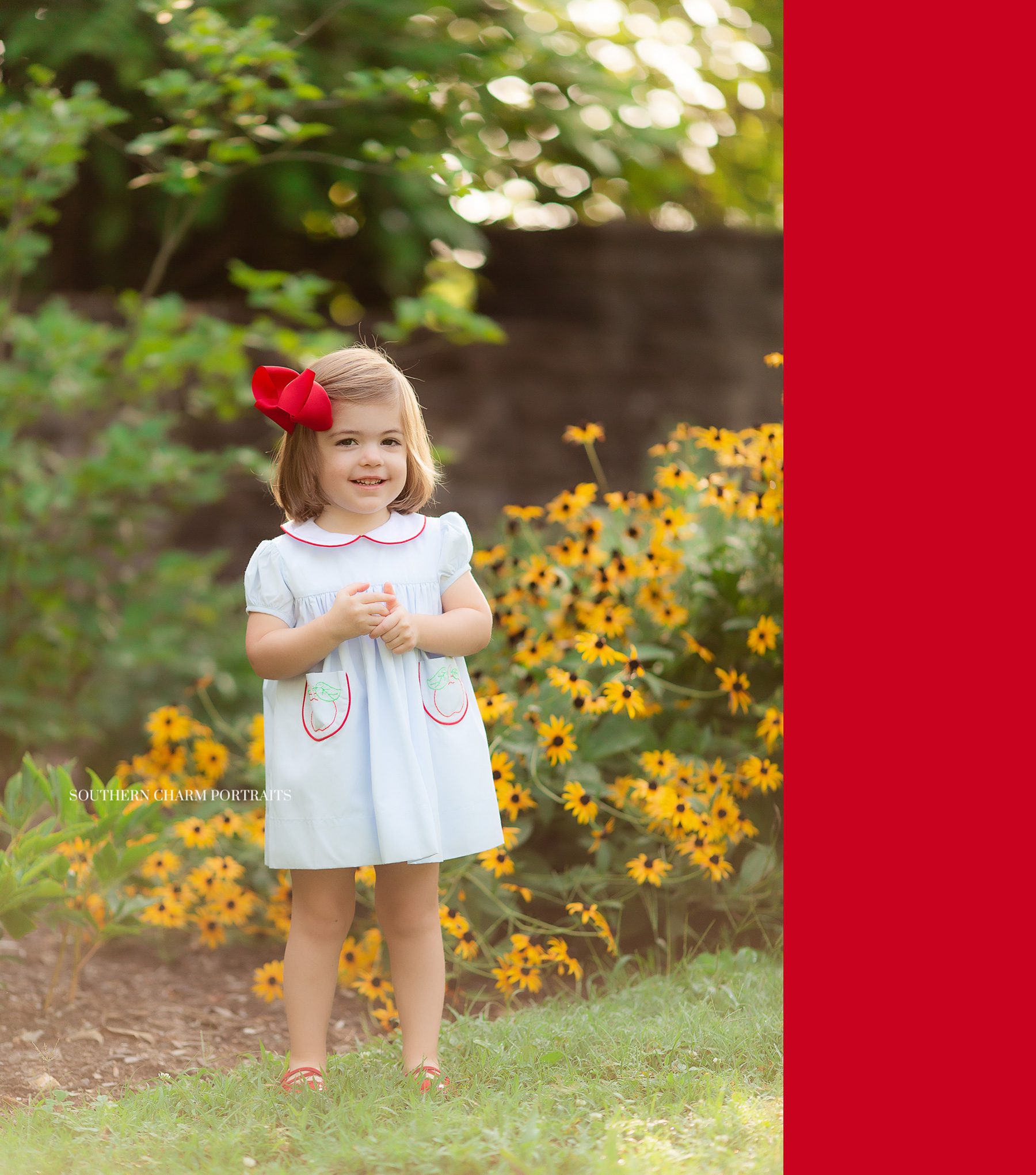 knoxville children's photographer