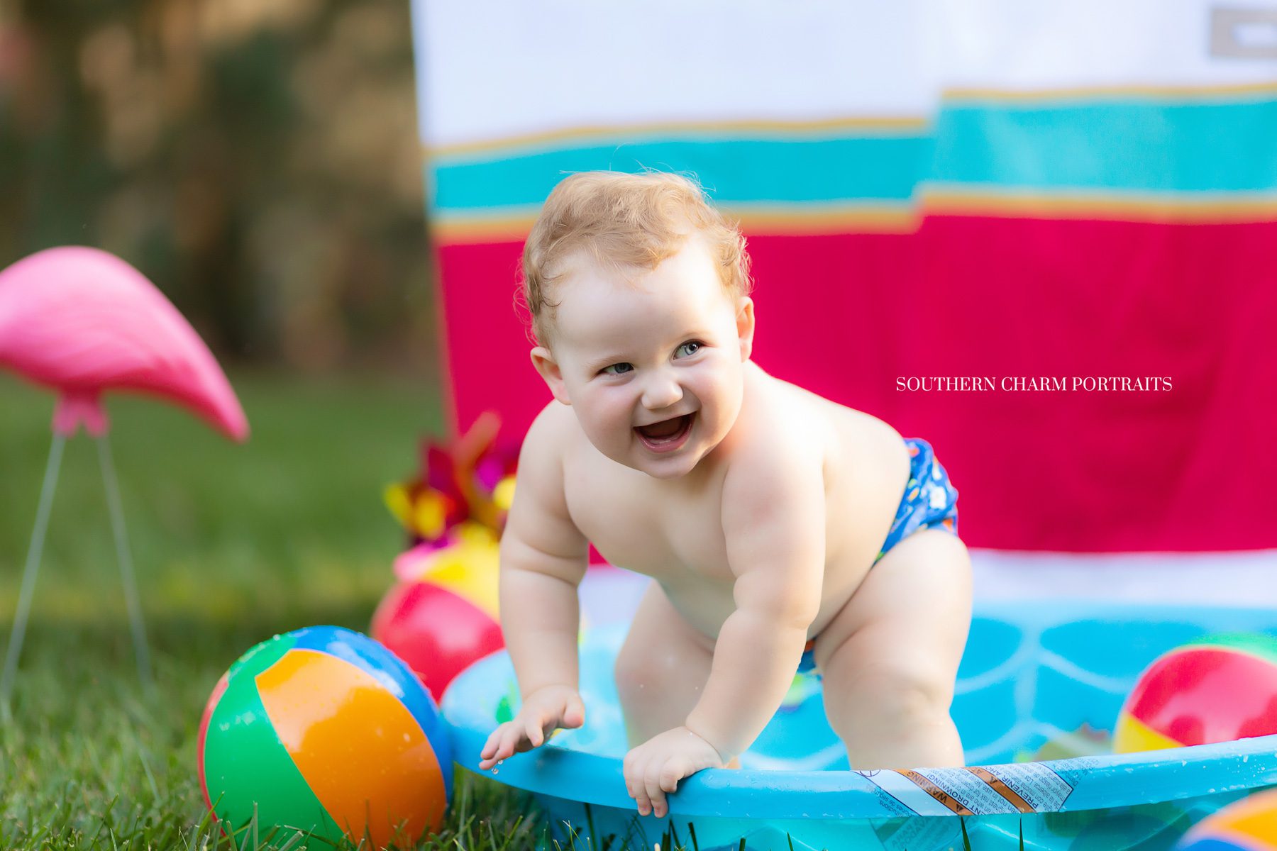 maryville portrait studio