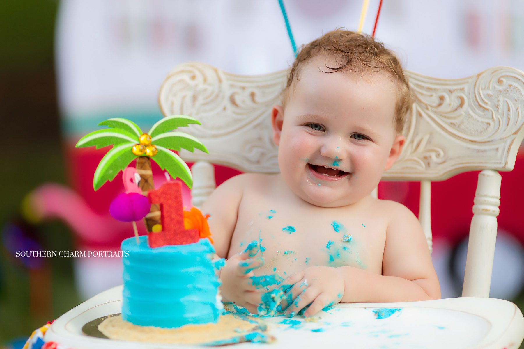 knoxville baby photography