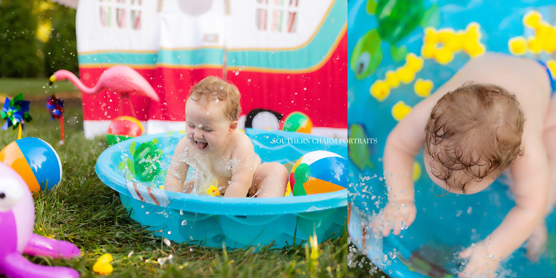 knoxville baby portraits