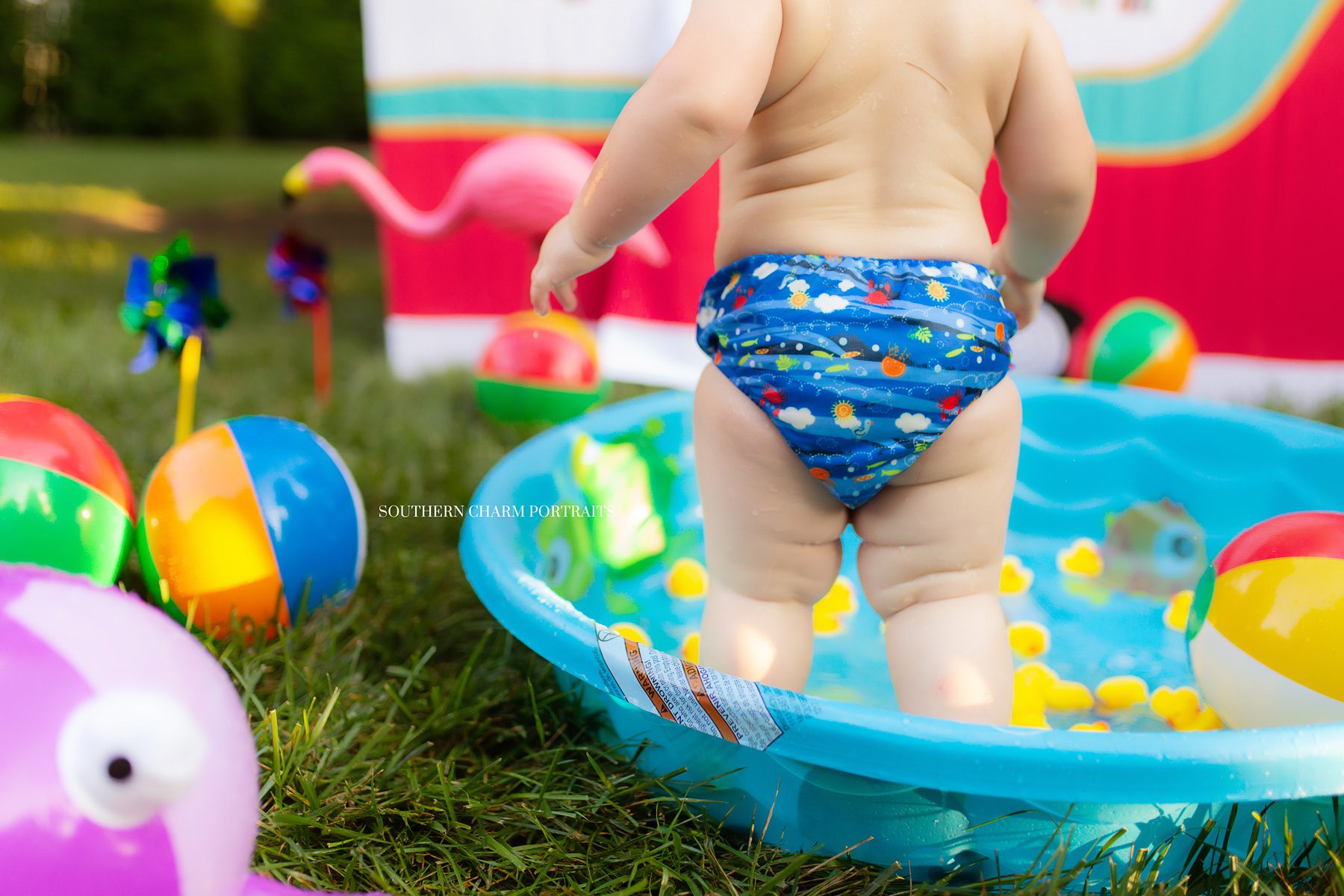 maryville tn best baby photographer