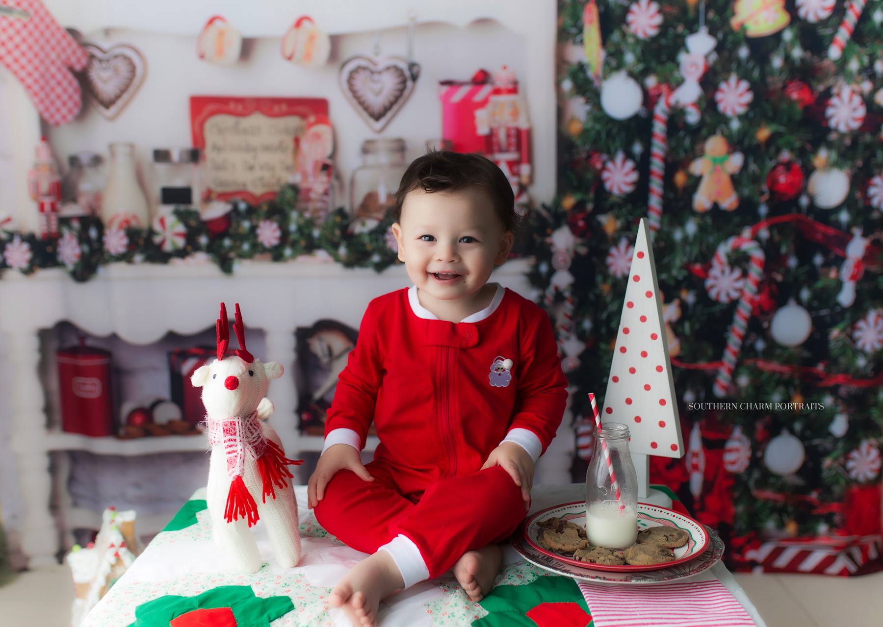 baby photographer christmas session knoxville