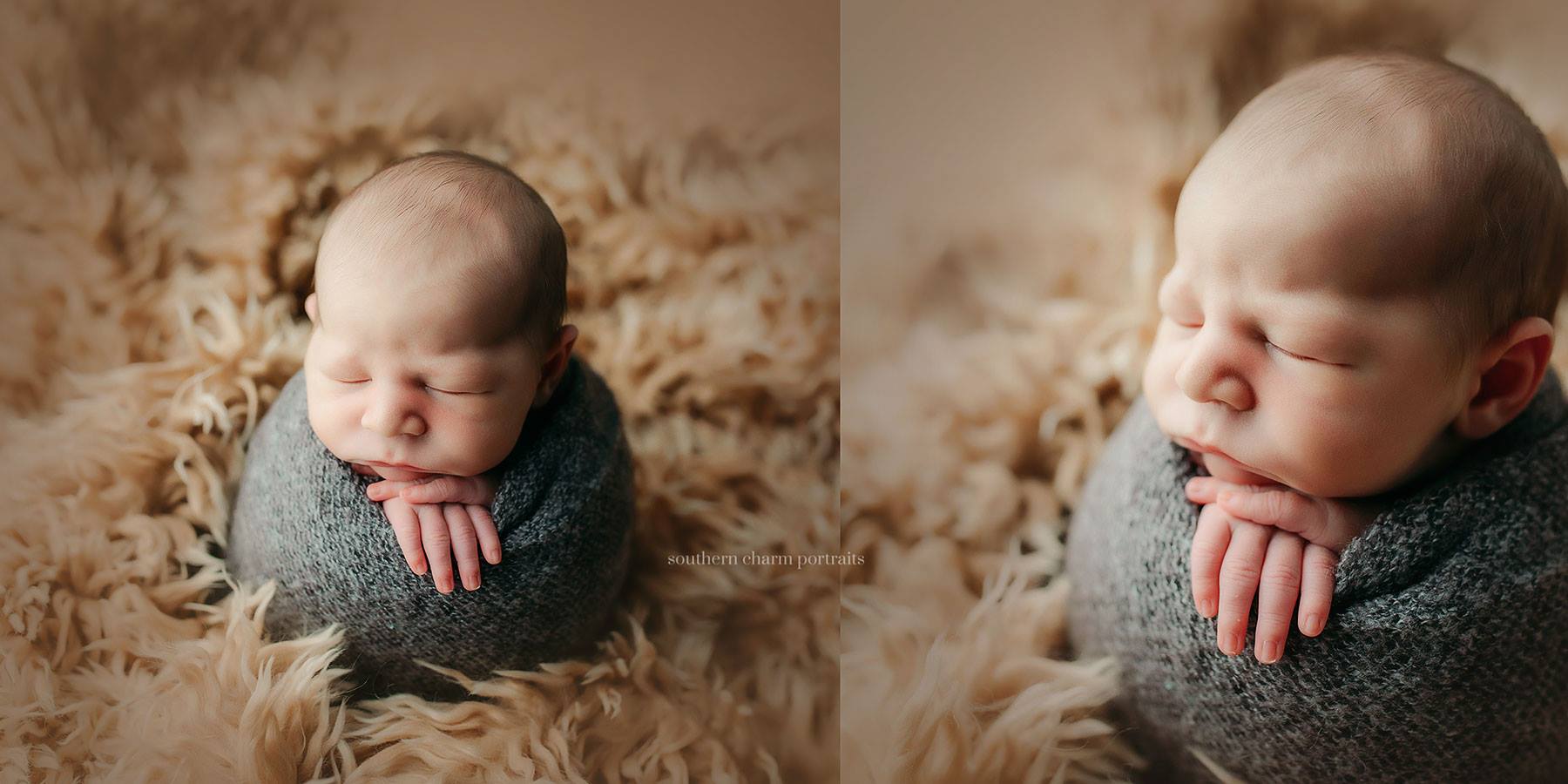 knoxville baby photography