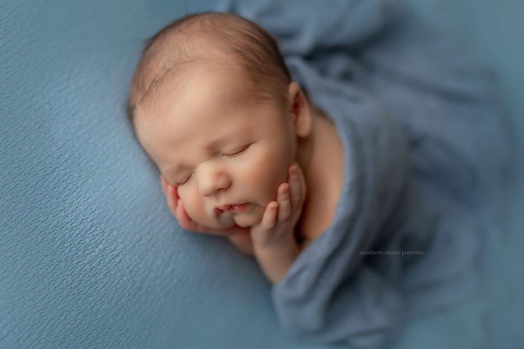 knoxville baby photography