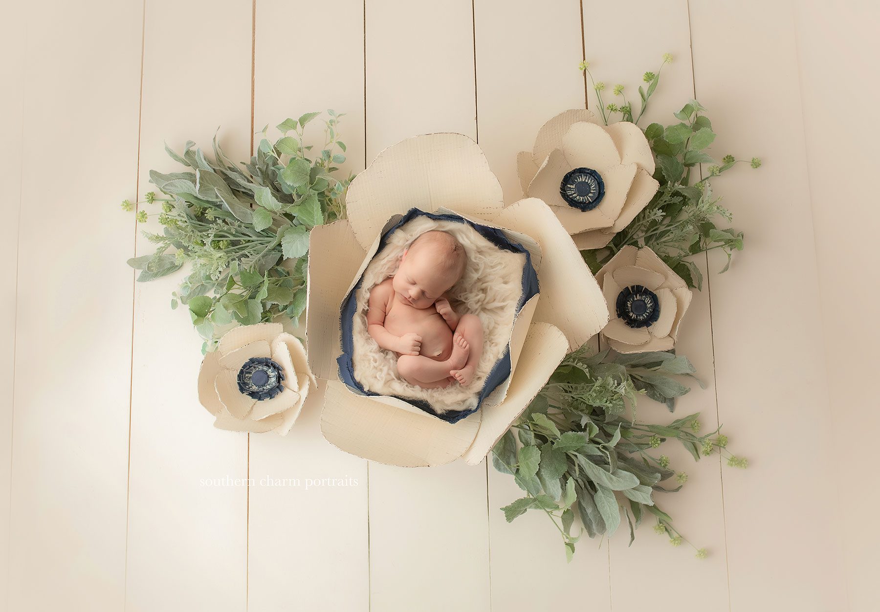 knoxville newborn photographer