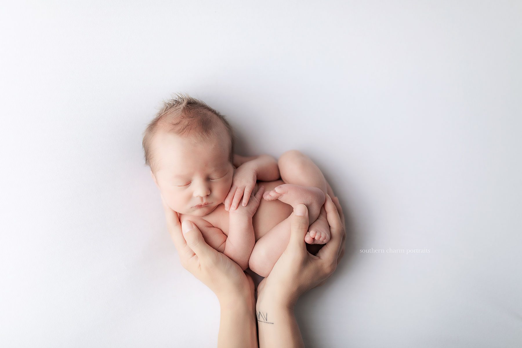 knoxville tn newborn baby photographer