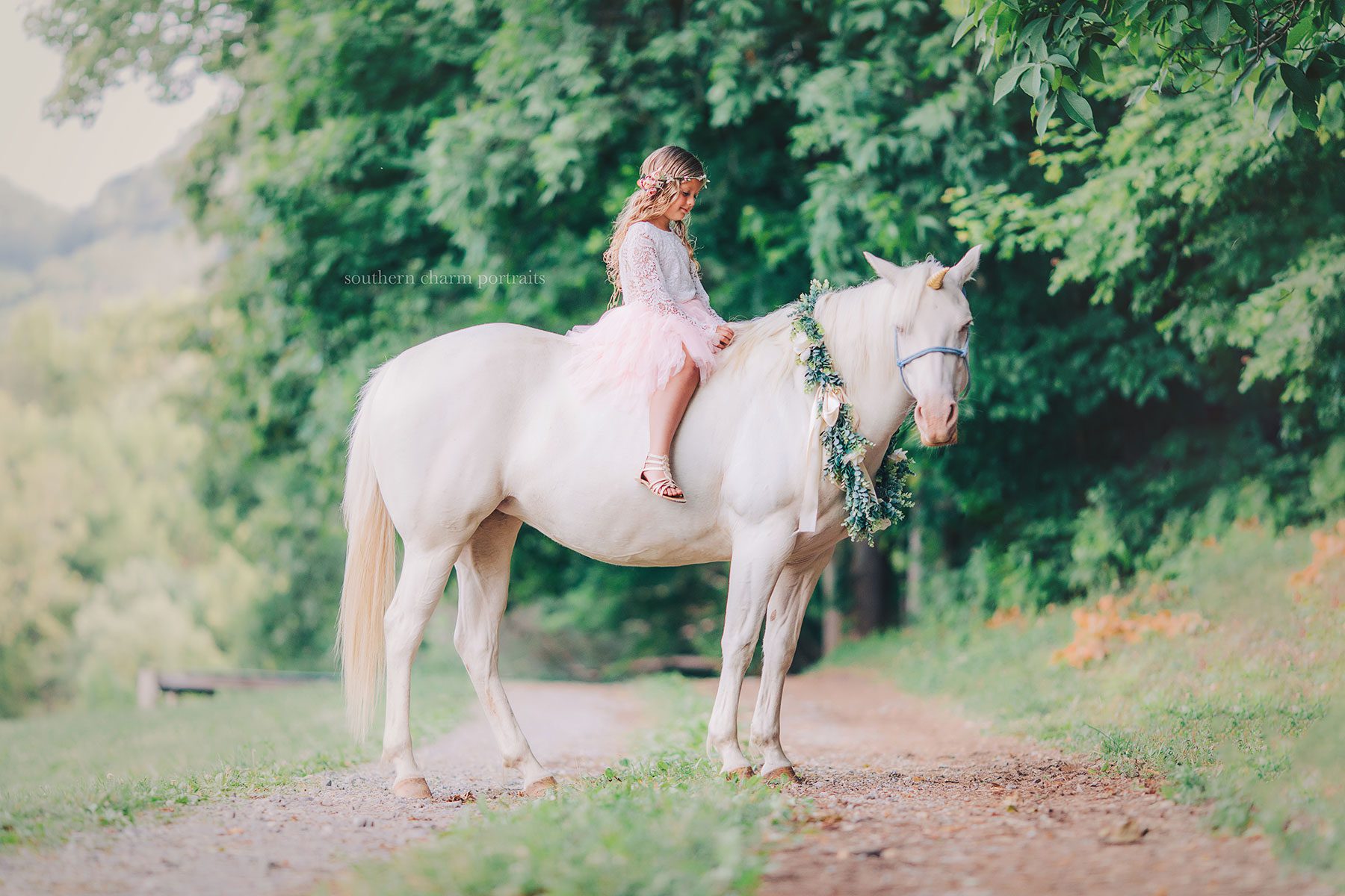 knoxville tn fairytale portraits