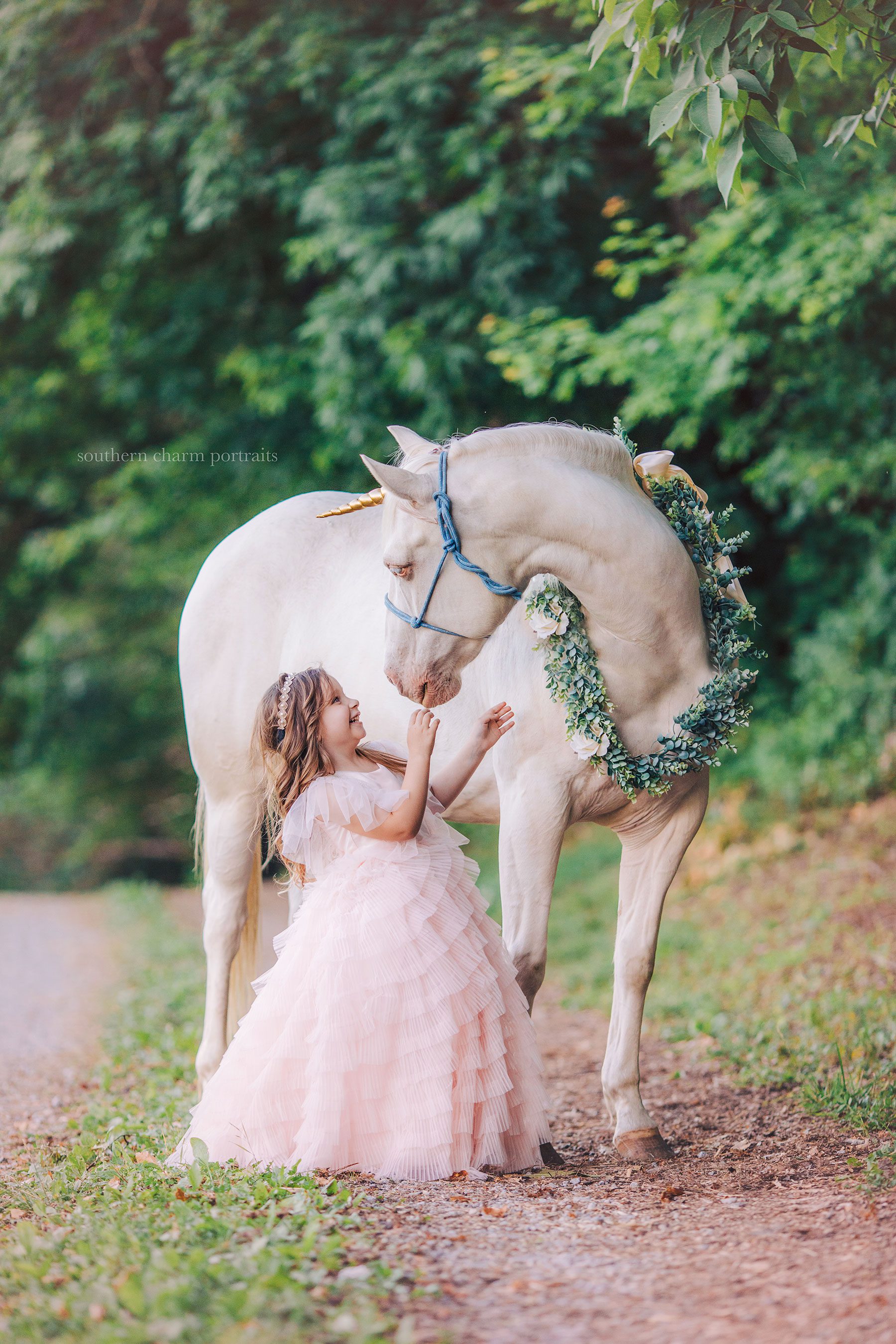 knoxville tn portraiture