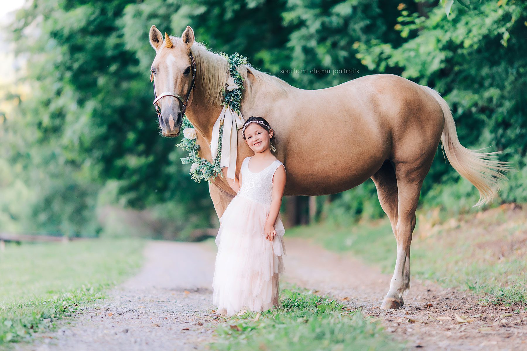 knoxville tn photography 