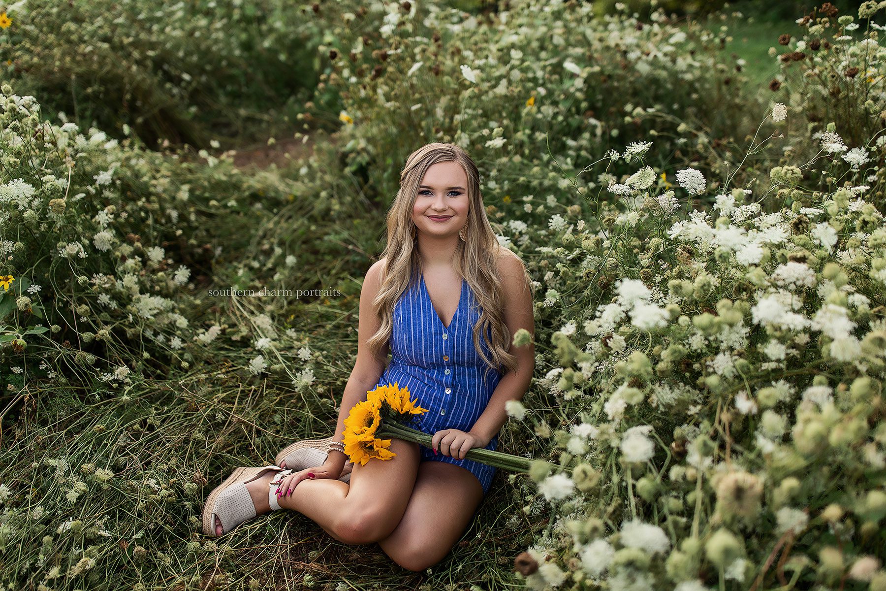 forks of the river knoxville sunflowers