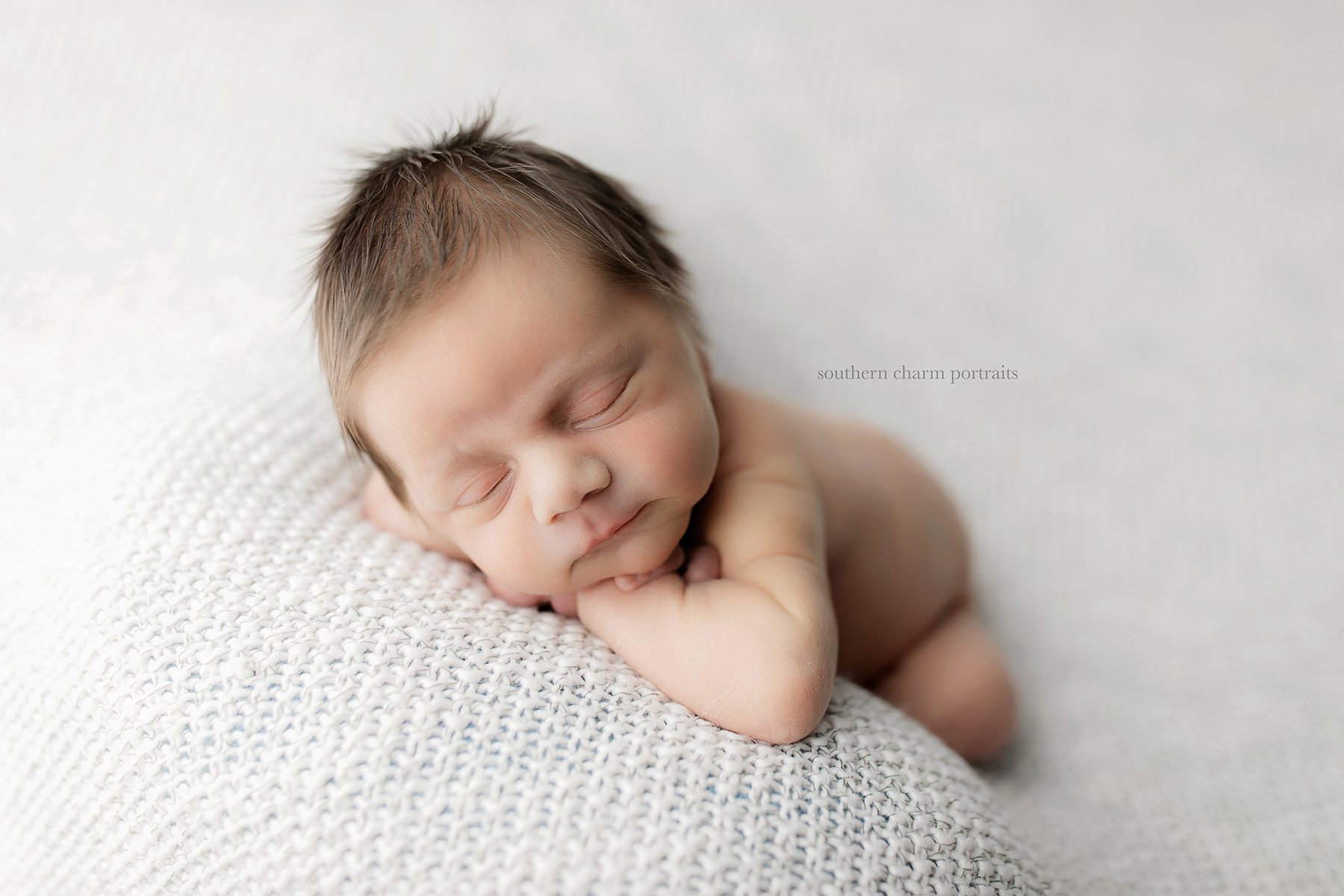 knoxville tn newborn photography