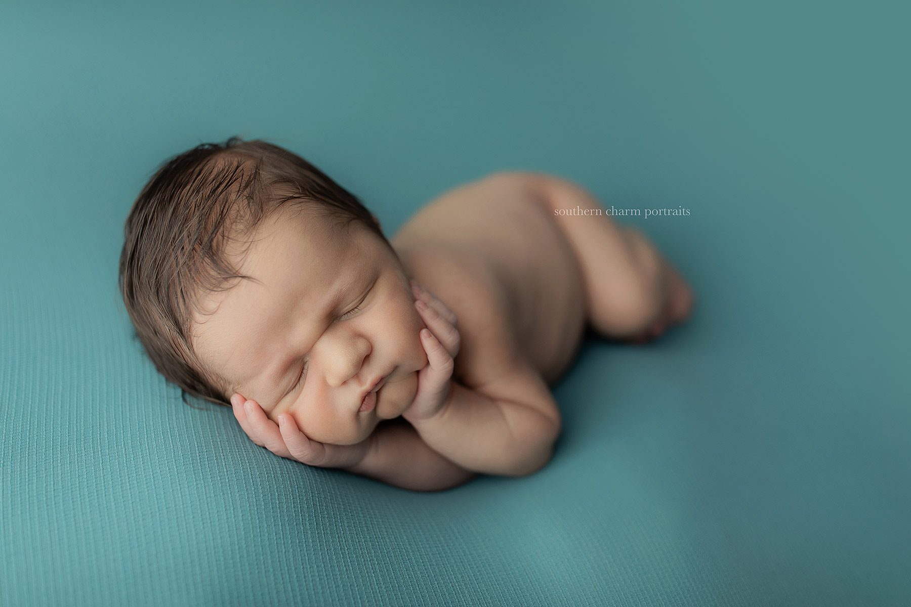 farragut newborn baby photographer