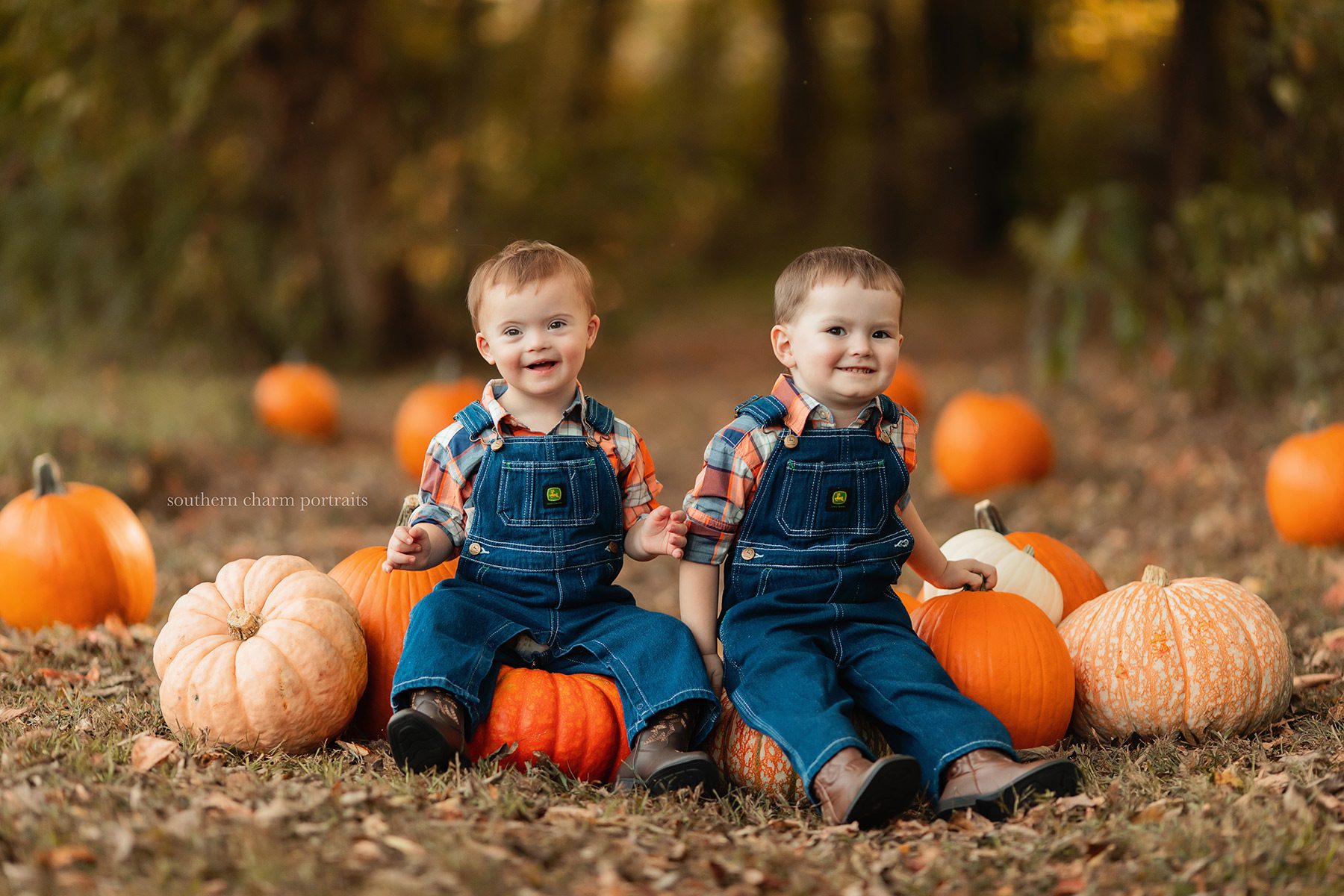 knoxville tn children's photographer