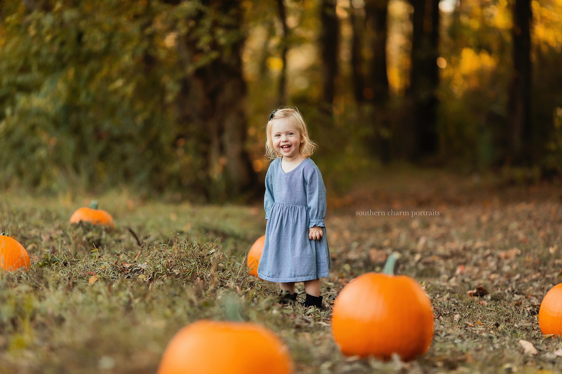knoxville toddler photographer