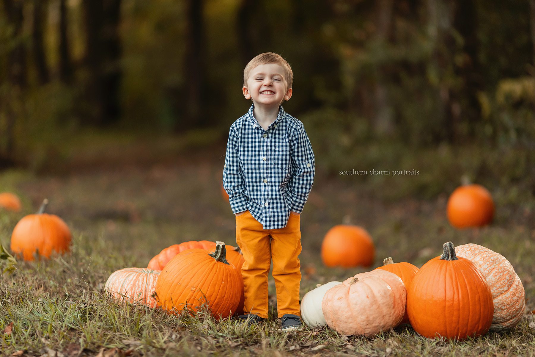 knoxville tn portraits