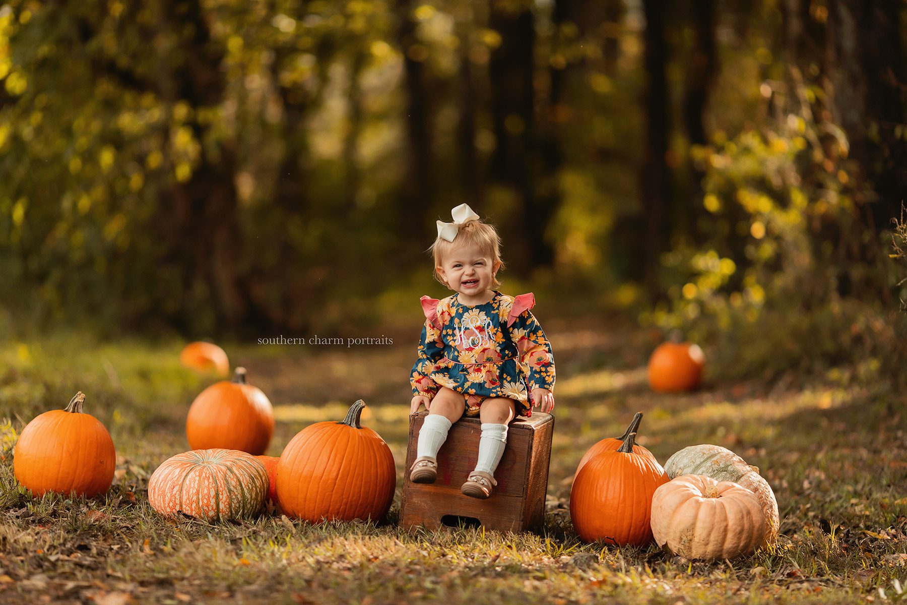 knoxville tn baby photographer
