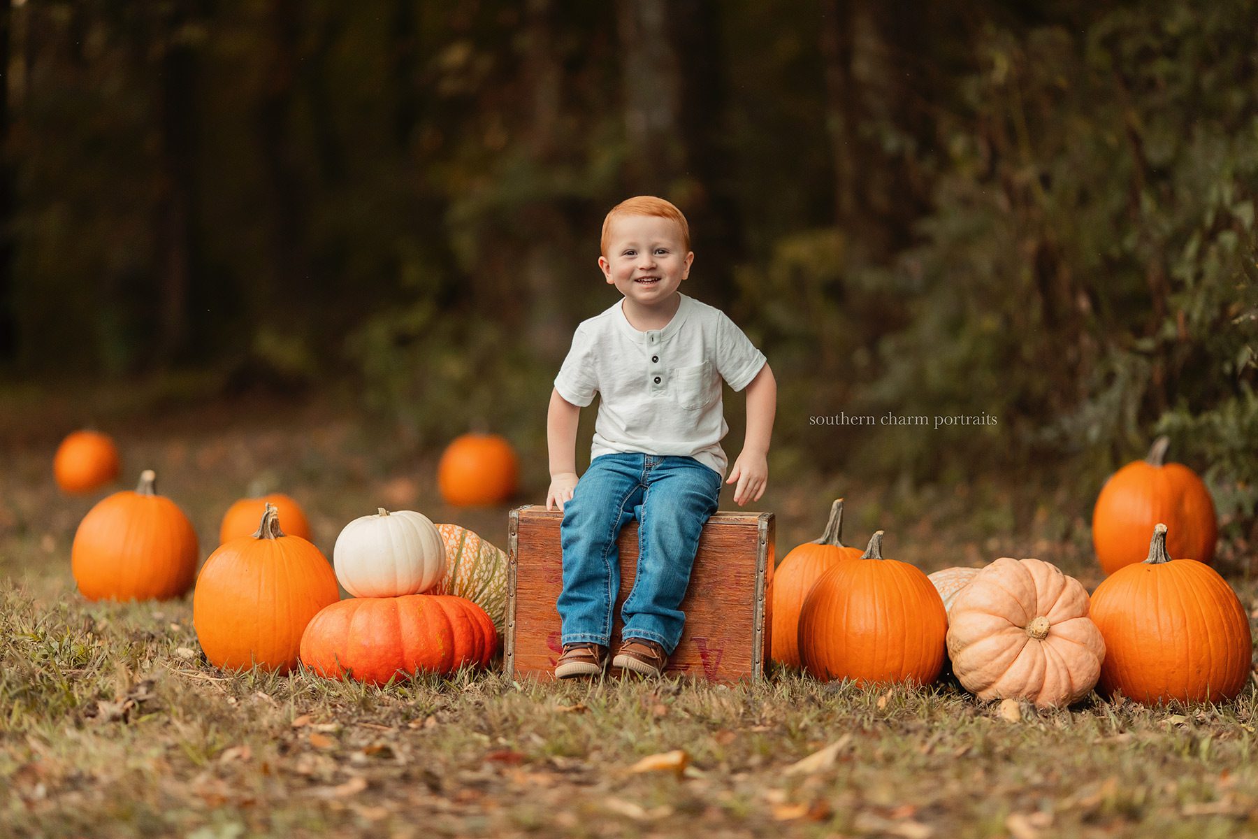 pumpkin mini sessions knoxville tn