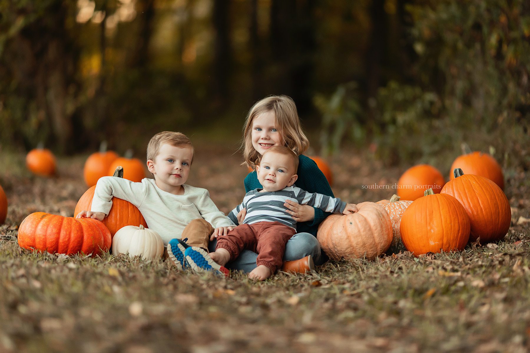 children's photography knoxville