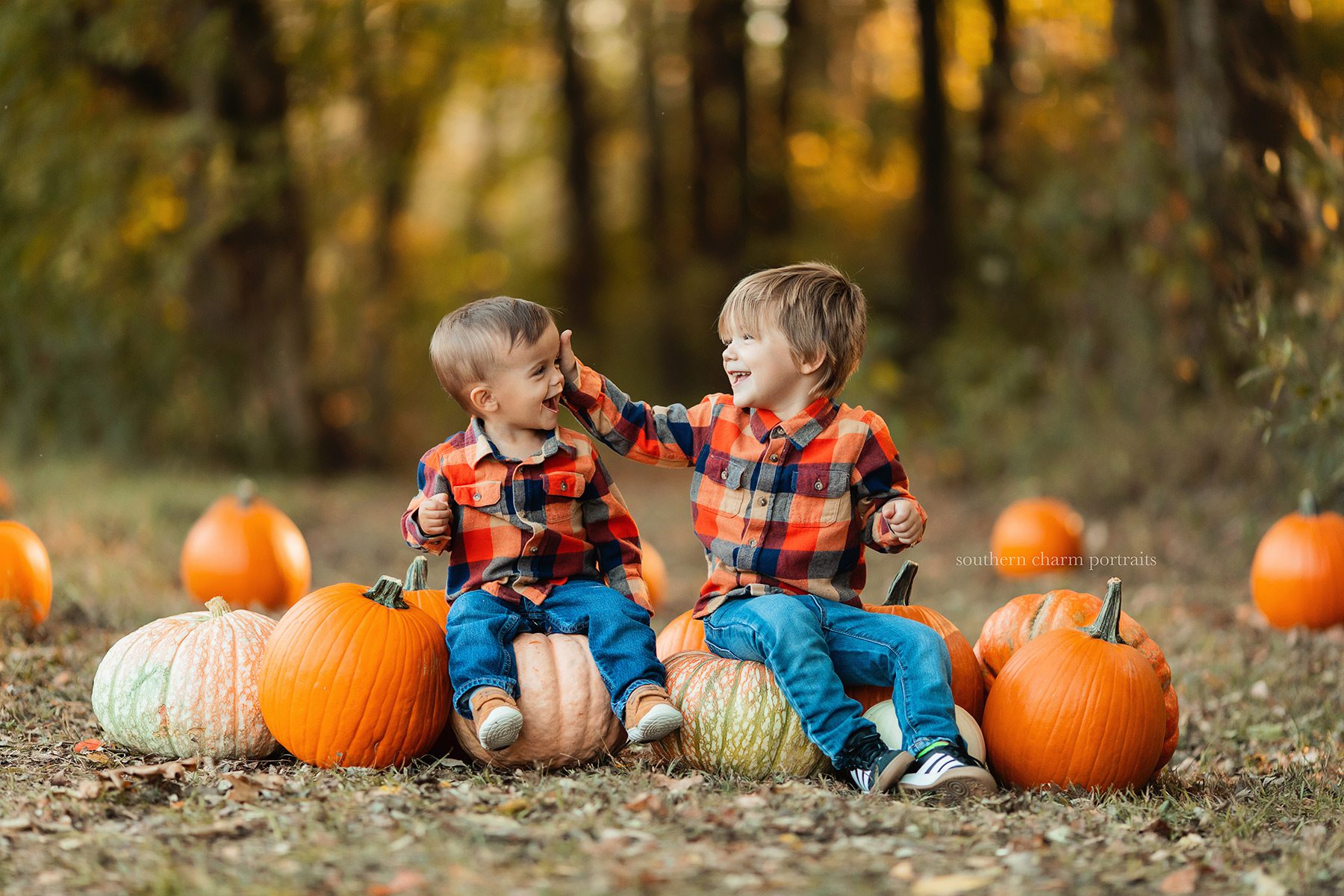 knoxville tn family portraits