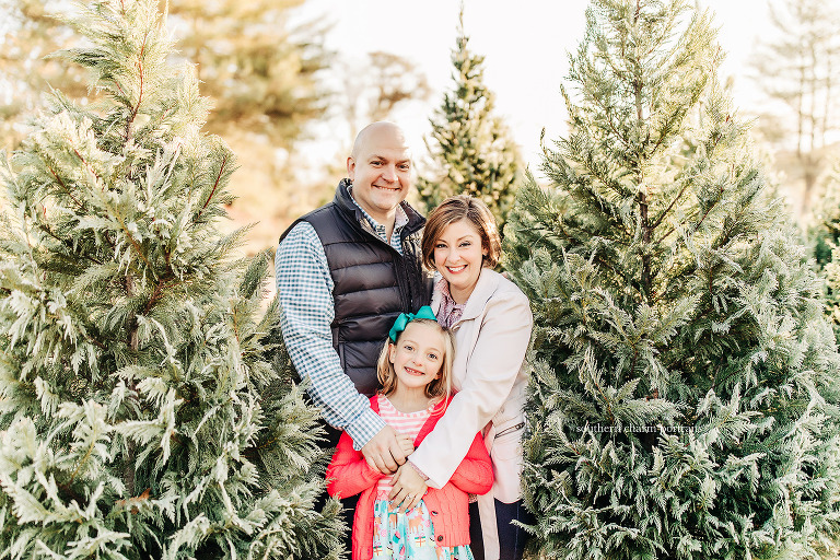 Bluebird Christmas Tree Farm Family Portraits Southern Charm Portraits