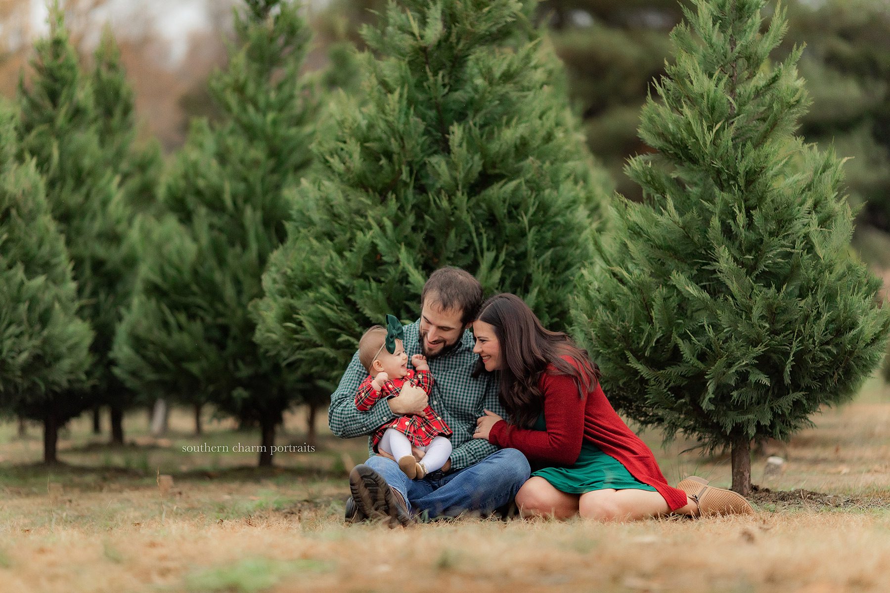 knoxville tn photography